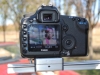 BTS-6