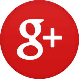  Google+